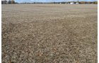 Property photo 11 - 75.3 Acres Offered in 2 Tracts